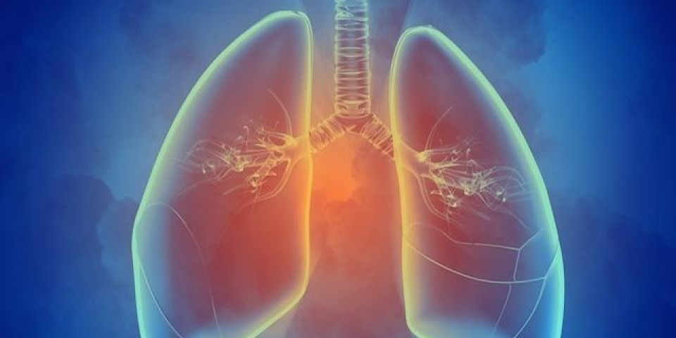 Cintilografia de Ventilação Pulmonar