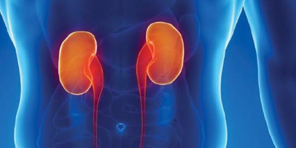 Cintilografia Renal Estática (DMSA-Tecnécio 99)