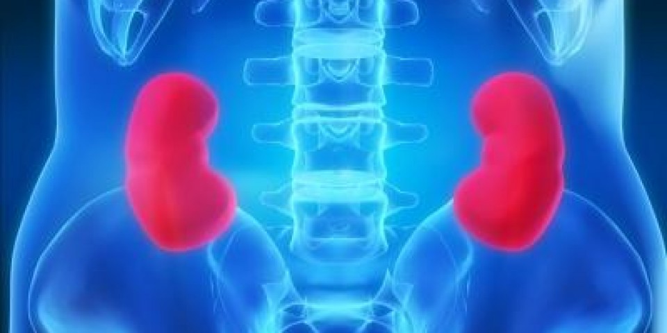 Estudo Renal Dinâmico (DTPA/EC- Tecnécio 99)