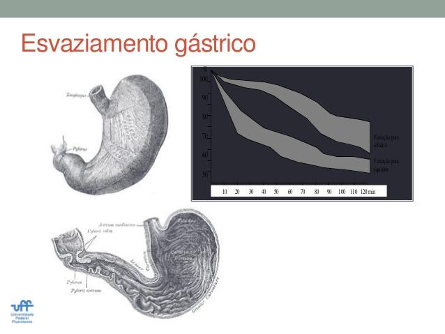 Cintilografia de Esvaziamento Gástrico - Bionuclear